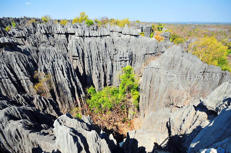 马达加斯加的Tsingy de Bemaraha